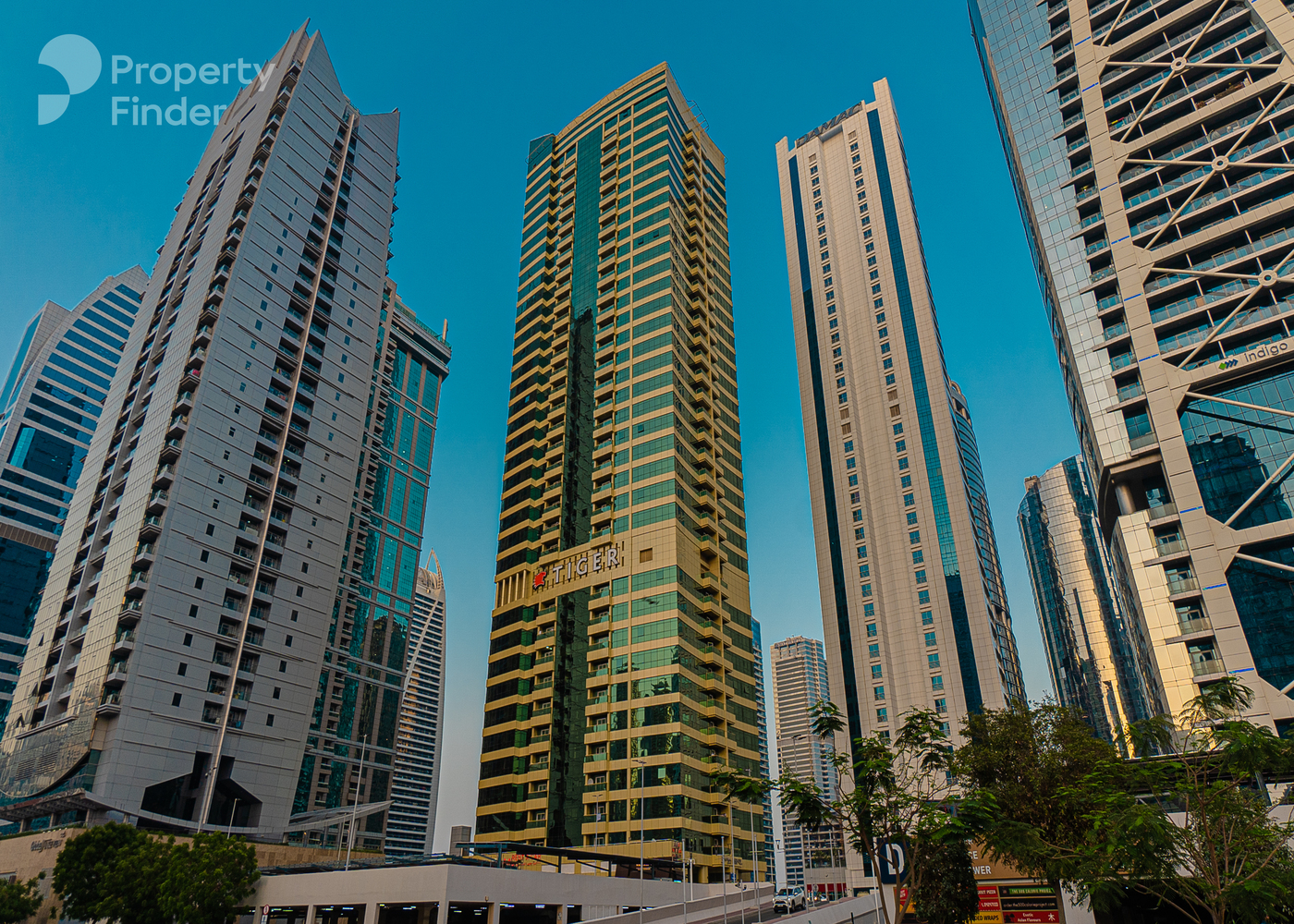 16179852 - صورة العقار 3