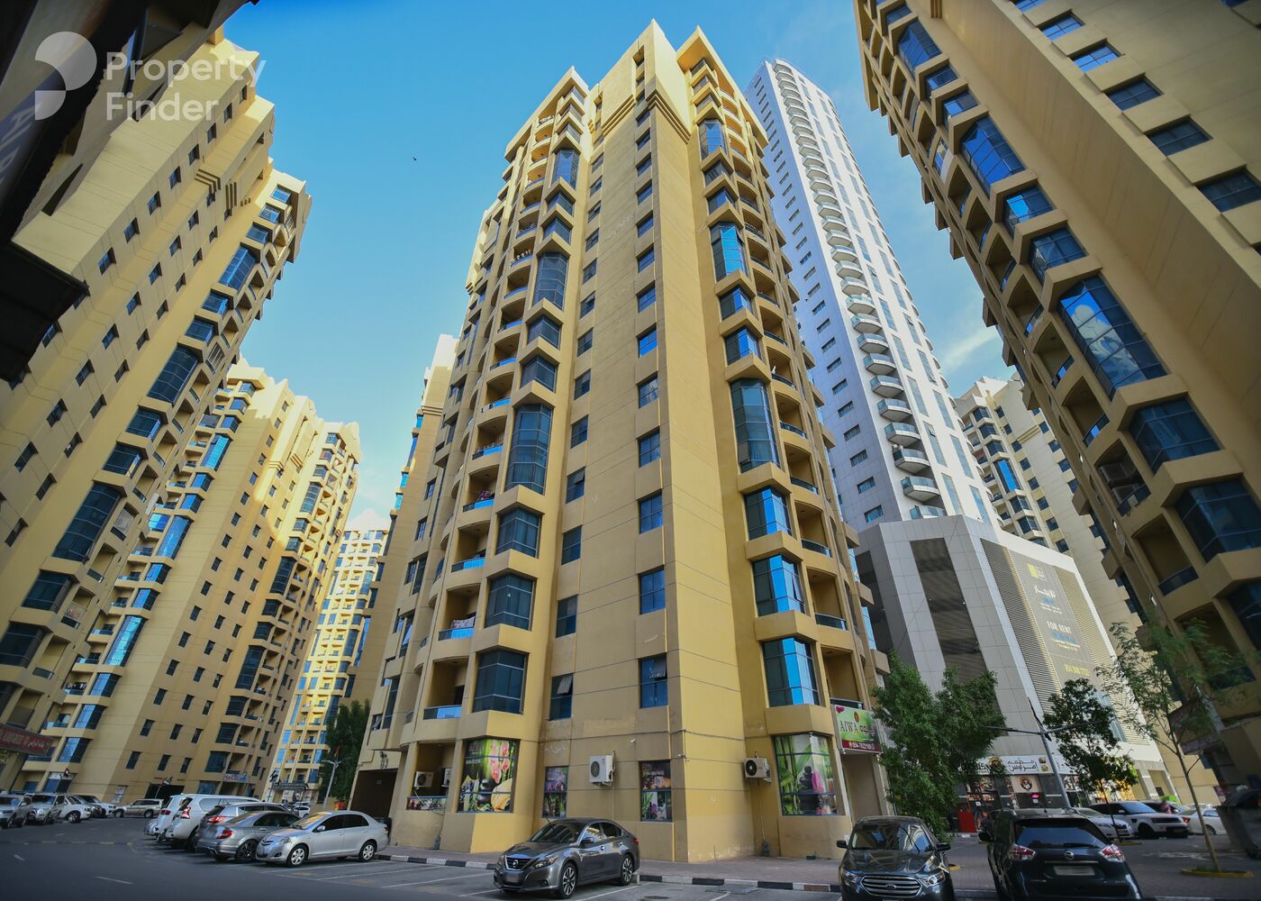 15774646 - Property Image 3