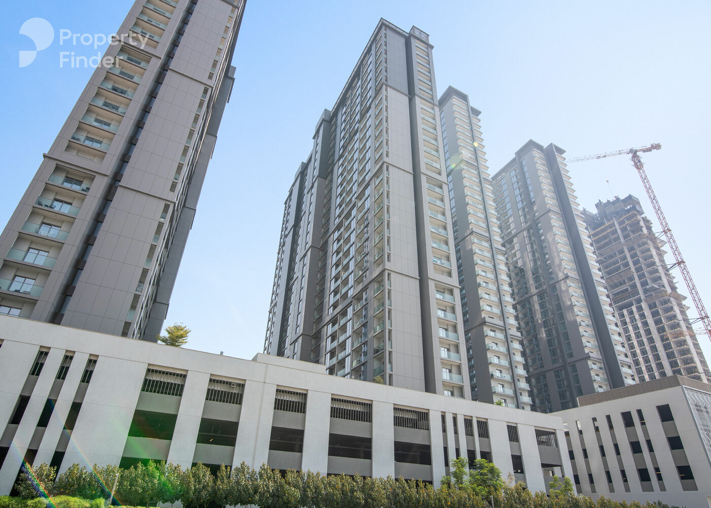 15677779 - Property Image 3