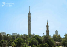 Image for  in Zamalek